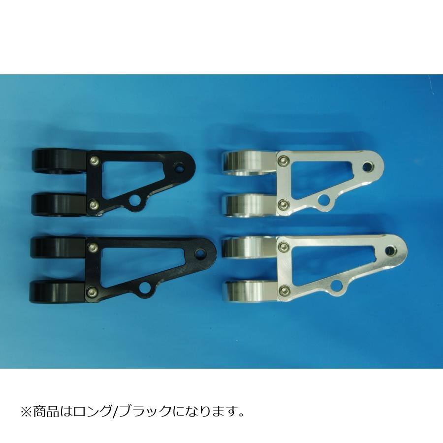 WOODSTOCK (ウッドストック) ヘッドライトステー Eタイプ ロング/ブラック フォーク径Φ41用 WLS-E41L-BK