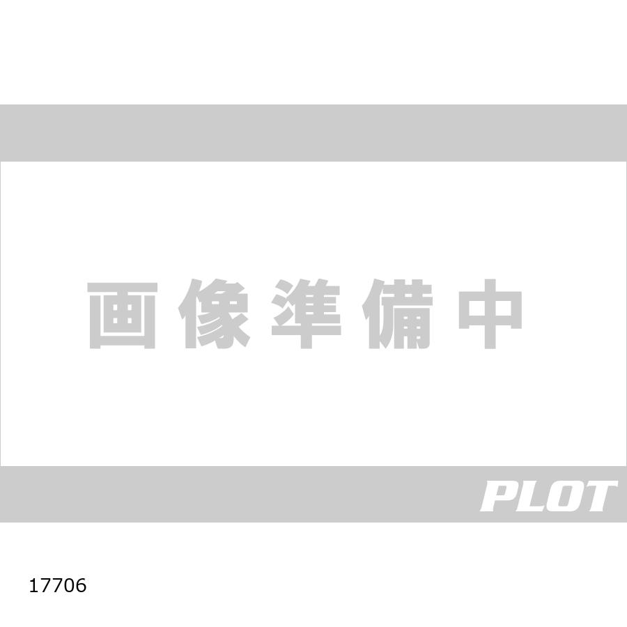 Daytona (デイトナ) N100-5 シールドNMS-04 クリア 17706