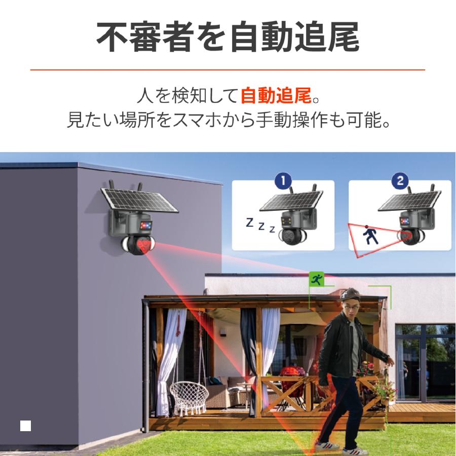 �ǥ��ȥ� �������ƥ������BDSC12X 60906