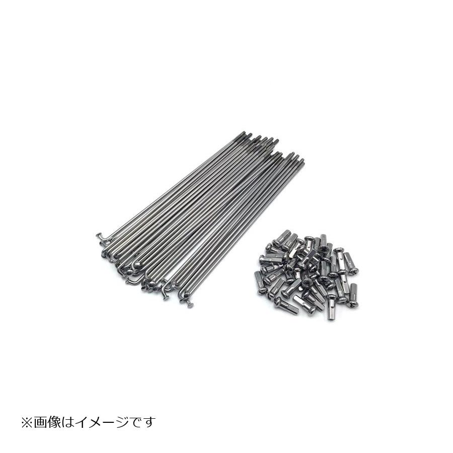 ダートフリーク ダチ ステンレススポーク＆ニップルセット XR200R 81-83 フロント G0105