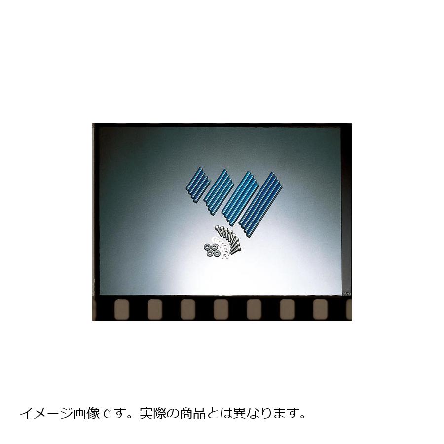 Plot (プロト) ラウンドサイドパイプ ブルー 4本 13ROW ボルト付き