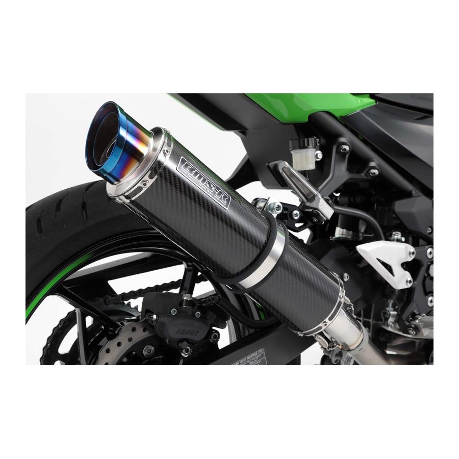 BEAMS (ビームス) R-EVO2 スリップオン カーボン Ninja400 2BL-EX400G G431-54-P2J