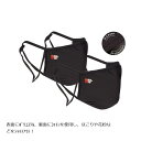ケーアンドエヌ 2層式布フェイスマスク 2枚入り ブラック 88-0520BK