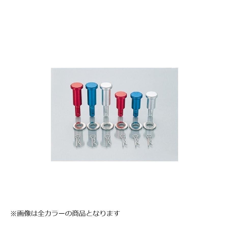 KITACO (キタコ) ピボットピン TZR50 R TZR50R ブルー