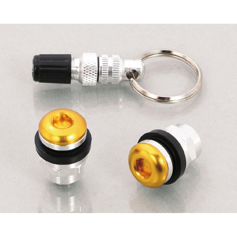 KITACO (キタコ) インビジブルエアーバルブセット タイプ2 ゴールド