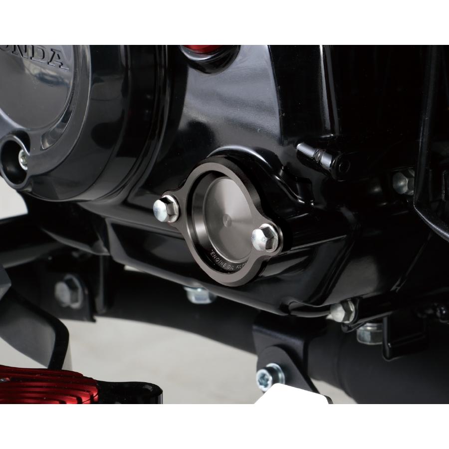 ������ ������ե��륿�����С�(GM) �ۥ��/T1 390-1001090