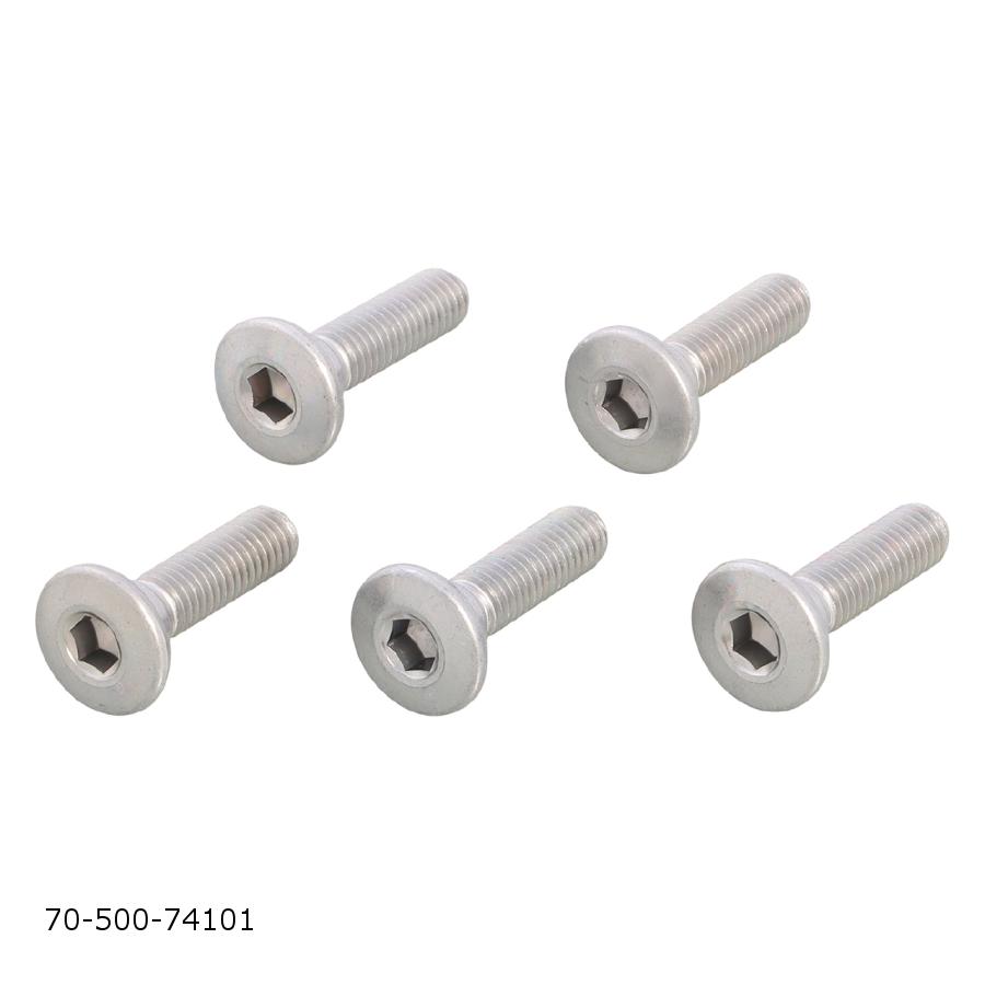 ������ ���������ܥ��(ST)���掠��/M8X30 5�� 70-500-74101