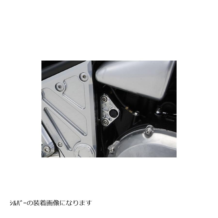 K�ե����ȥ꡼ (�����ե����ȥ꡼) ���󥸥�ϥ󥬡���䡡�����ѡ��֥�å� ZEPHYR1100 111VZBG009R