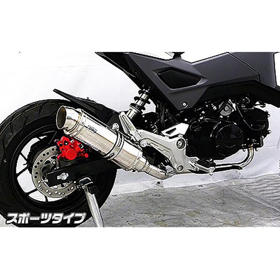 Other - ウイルズウィン ロイヤルマフラー フルエキ スポーツ GROM(2型) 1712-59-03