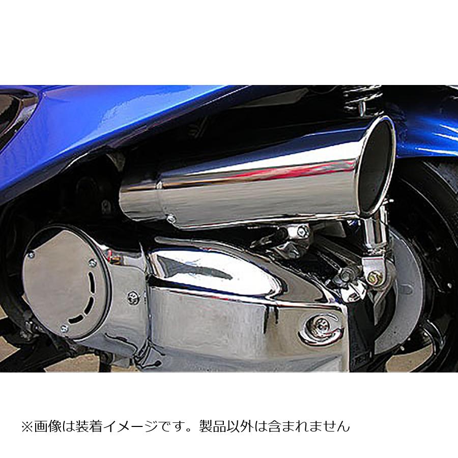 ウイルズウィン キャリパータイプAC＆プーリーカバー MAJESTY250(5GM/SJ) 114-03-11