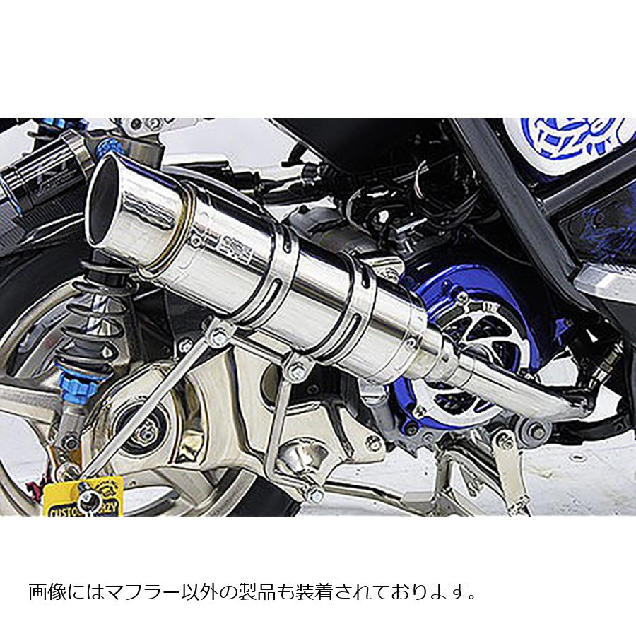 ウイルズウィン ロイヤルマフラー/ポッパー BWS125 182-59-02