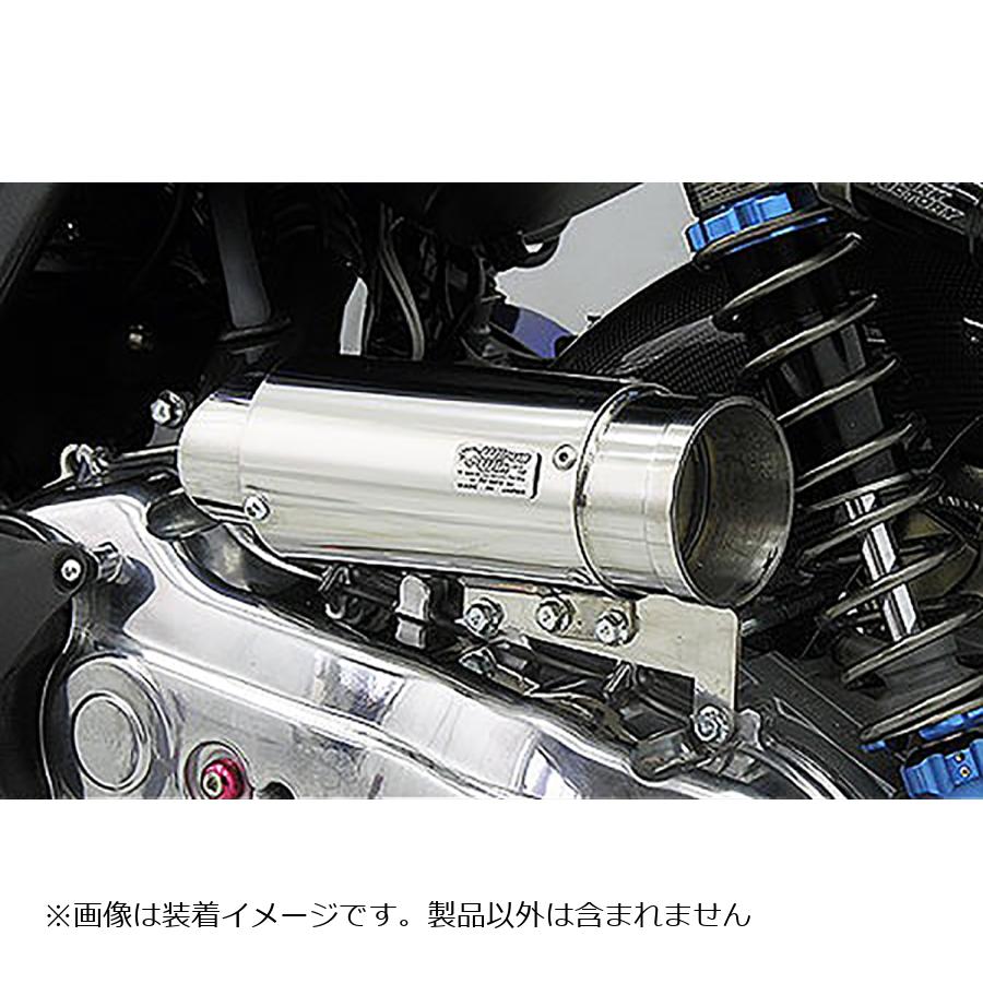 ウイルズウィン サイレンサー型エアクリーナー/バズーカー BWS125 184-01-01