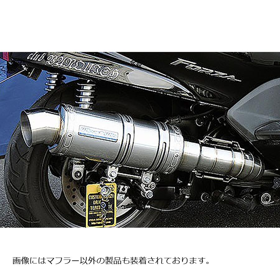 �����륺������ �ץ�ߥ���ޥե顼 ���ƥ� FORZA(MF08) 222-26-01