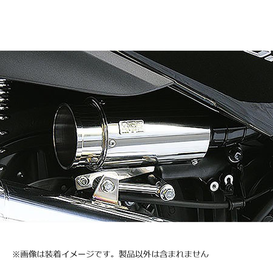 HONDA - ウイルズウィン サイレンサー型エアクリーナー/バズーカー FORZA(MF10) 244-01-01