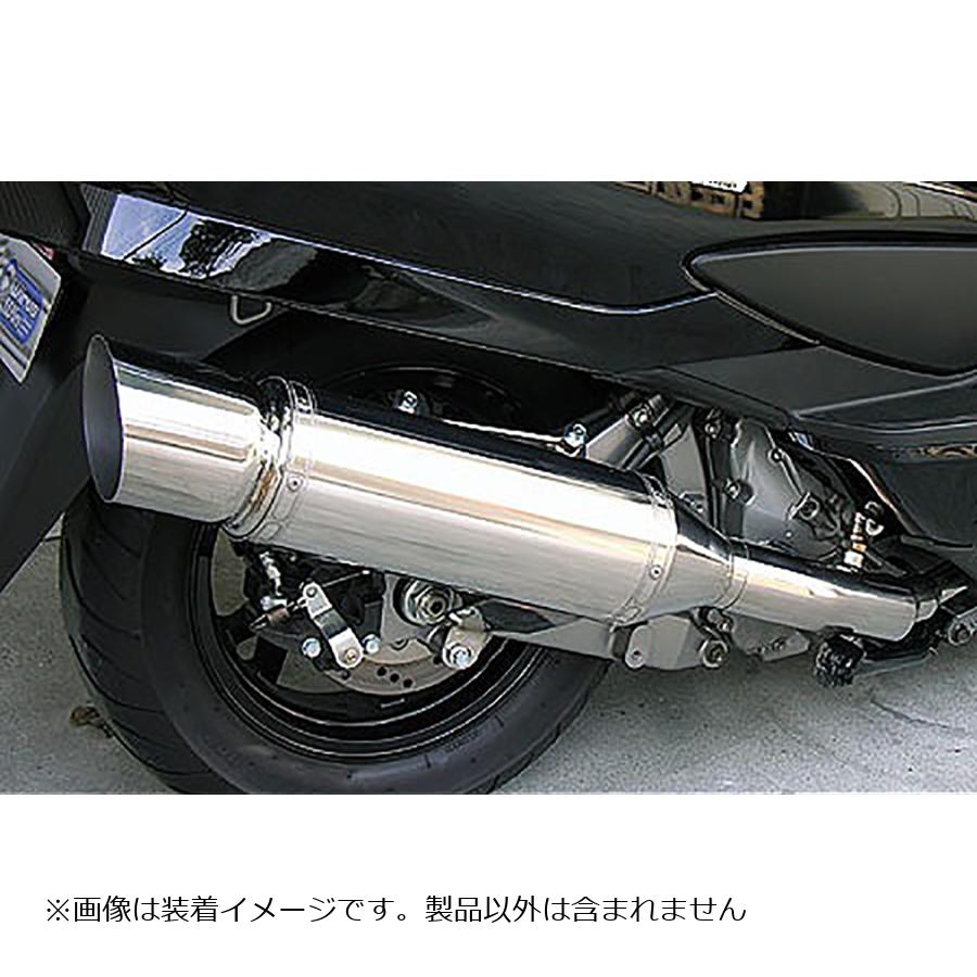 ウイルズウィン エクシードマフラー SKYWAVE250(CJ44/45/46) 312-09-01