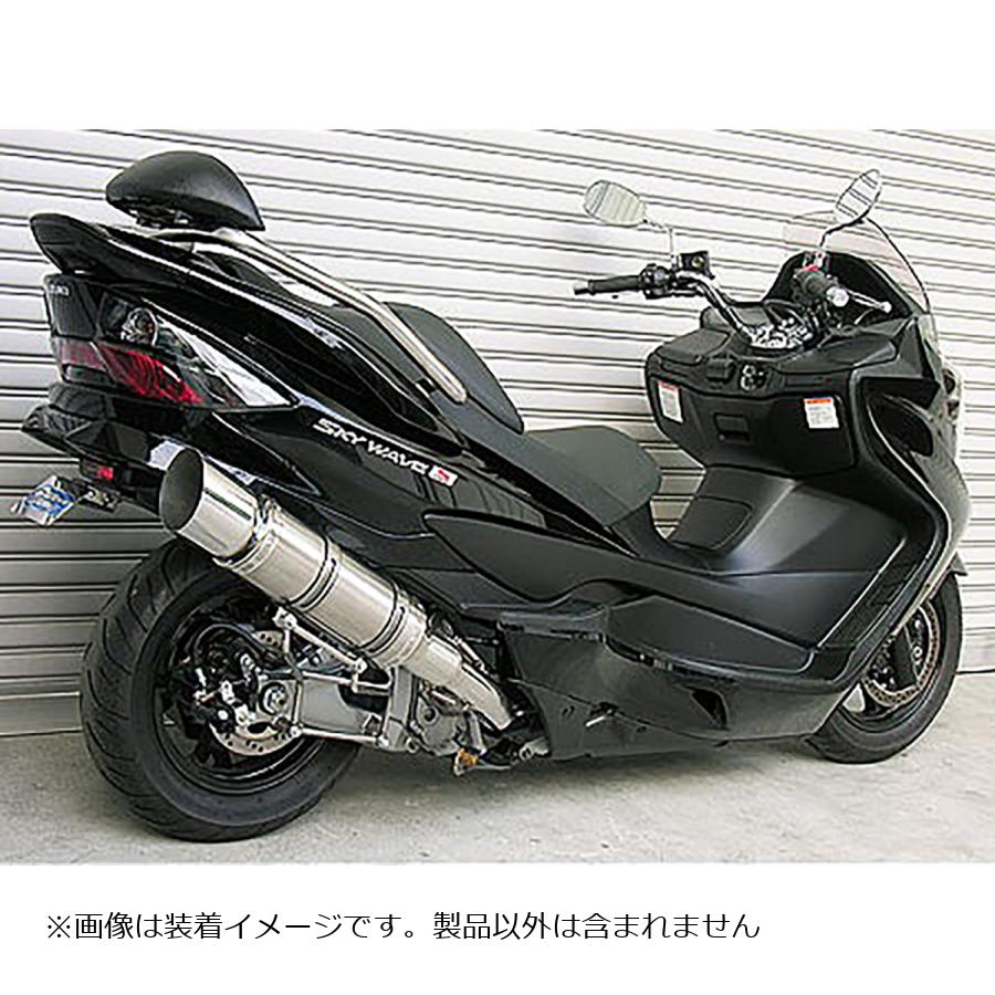 ウイルズウィン ビーストマフラー タイプE/ポリッシュ SKYWAVE250(CJ44/45/46) 312-10-11