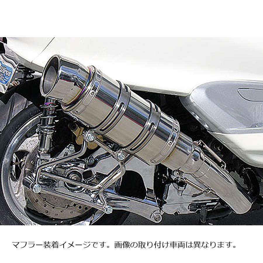 ウイルズウィン ビーストショートマフラー タイプS/ポリッシュ SKYWAVE250(CJ44/45/46) 313-17-11