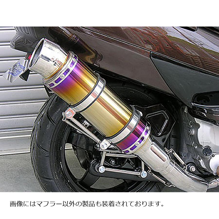 ウイルズウィン ビーストマフラー タイプS/焼色 SKYWAVE250(CJ43) 322-10-10