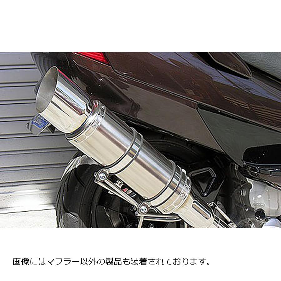 ウイルズウィン ビーストマフラー タイプE/ポリッシュ SKYWAVE250(CJ43) 322-11-11
