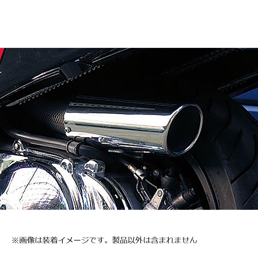 ウイルズウィン キャリパータイプエアクリーナー SKYWAVE250(CJ43) 324-03-01