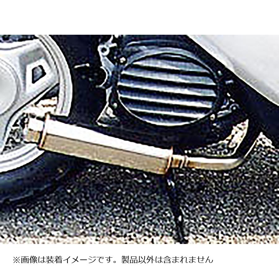 ウイルズウィン ロッドサイレンサー SMART DIO Z4 962-55-01