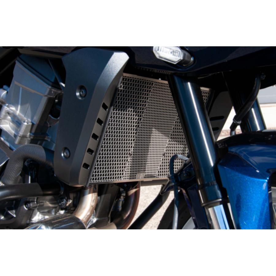 MORIWAKI (モリワキ) ラジエターコアガードキット シルバー HAWK11 01911-201V6-00
