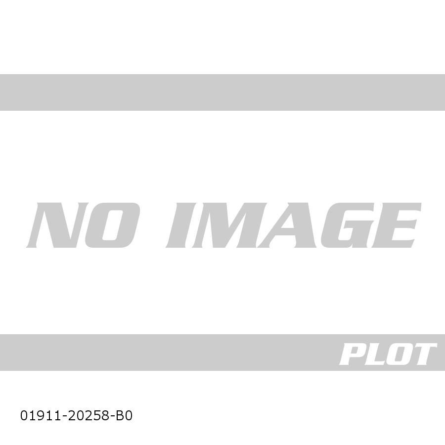 MORIWAKI (モリワキ) ラジエターコアガード ブラック Z650RS 01911-20258-B0