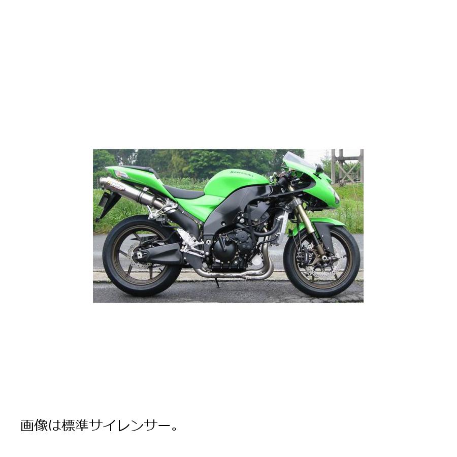 STRIKER(ストライカー) レーシングコンセプト チタン/ヒート ZX10R