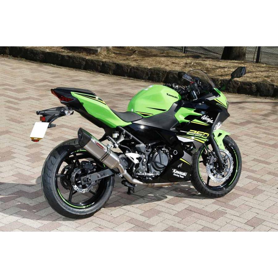 STRIKER (ストライカー) スリップオン マフラー Ninja250 Ninja400 ニンジャ400 JMCA 車検対応 チタン INTER MODEL OFF-Type B 931430IMJ