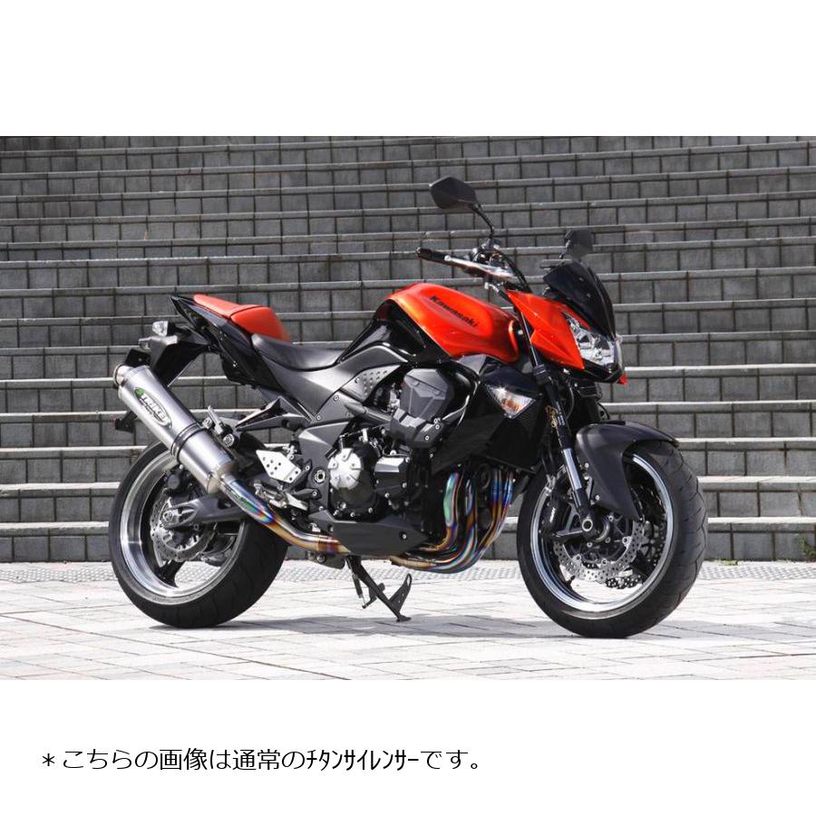 STRIKER (ストライカー) ストリートコンセプト チタン/ヒート Z1000 マレーシア仕様