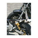 STRIKER(ストライカー) SADカーボン外装セット ゼファー1100 ZEPHYR1100 フロント18インチ