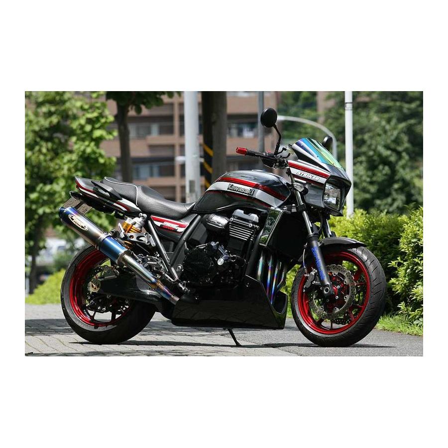 STRIKER(ストライカー) エアロデザイン アンダーカウル 黒ゲル ZRX1200 DAEG[ダエグ] SAD-UC101B
