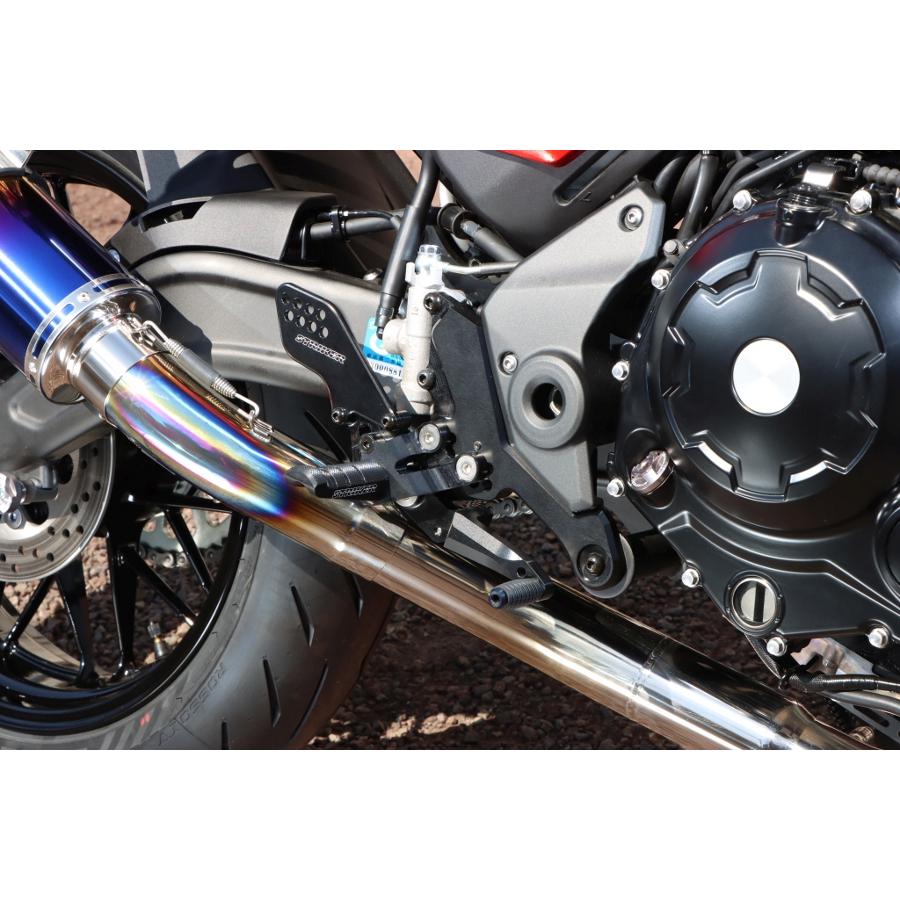 STRIKER (ストライカー) STCステップキット ブラック Z650RS SS-ST2164B