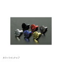 SP武川(SPタケガワ) ライセンスプレートボルトセット レッド お買い物マラソン
