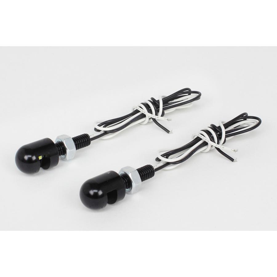 SP武川(SPタケガワ) ライセンスプレートLEDボルト (2個入り)DC12V/M6