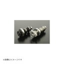 SP武川(SPタケガワ) カムシャフトセット DOHC (オートデコンプレッション/D15・15)