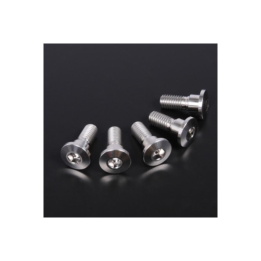  (ZETA) Bǥܥȥå ThinHead 10-M8x22 5pcs D6928