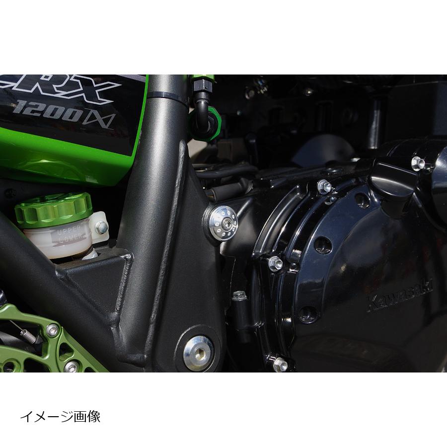 PMC(ピーエムシー) フレームプラグ ブラック ZRX1200DAEG