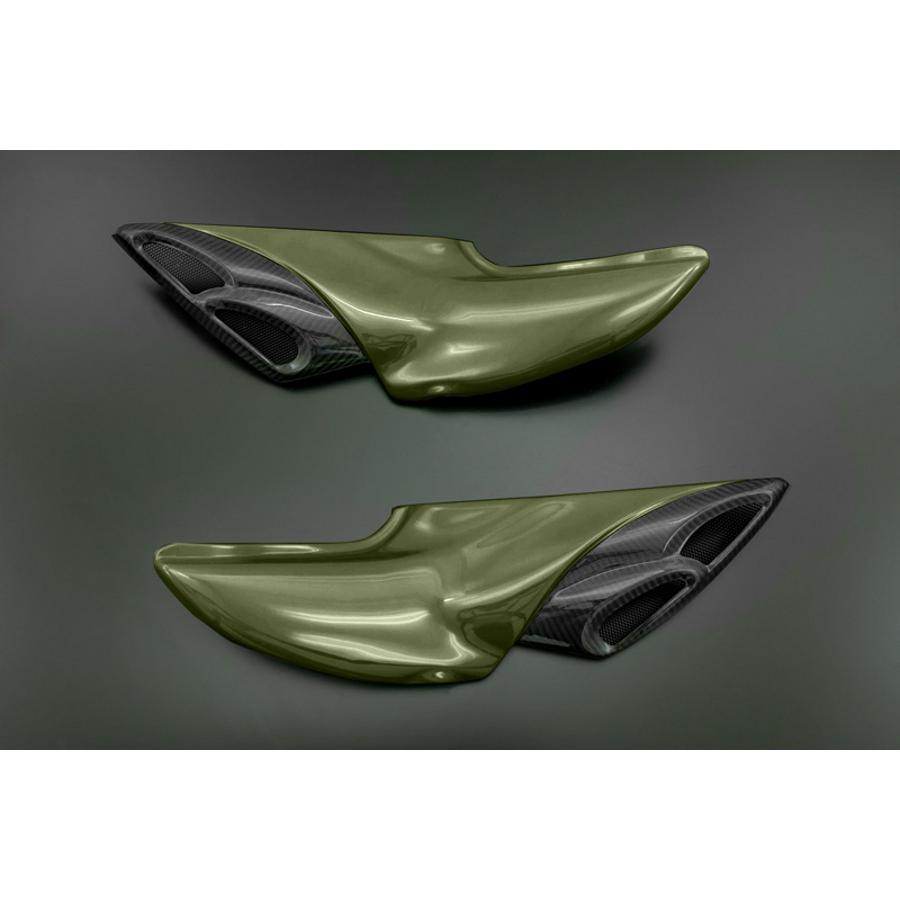 PMC (ピーエムシー) ダブルバブルインテーク Z900RS キャンディートーングリーン 189-1634