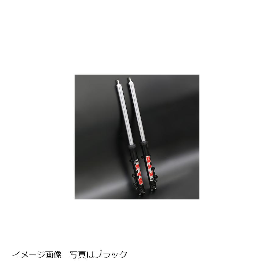 PMC (ピーエムシー) KYB38R フロントフォーク ブラックアウター Z1000R 74-804