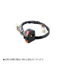 ACTIVE(アクティブ) スイッチキット TYPE-2 CB1300SB 1381408
