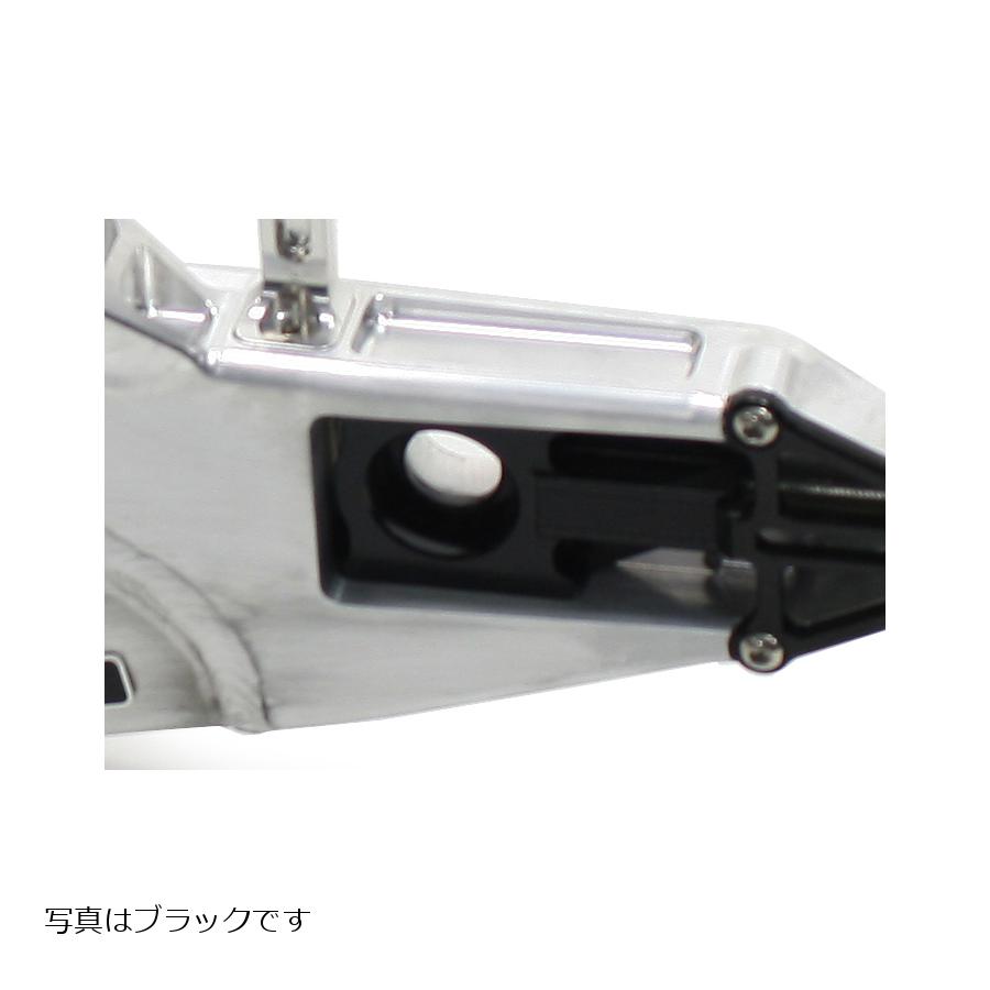 ACTIVE(アクティブ) チェーンアジャスター チタン 左右セット PFスイングアーム用 ZRX1200R ZRX1200 DAEG ダエグ 15500025