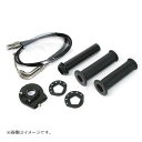 ACTIVE(アクティブ) ハイスロットルキット EVO2 ブラック ラージボディー 巻取 Φ50/52 1065324