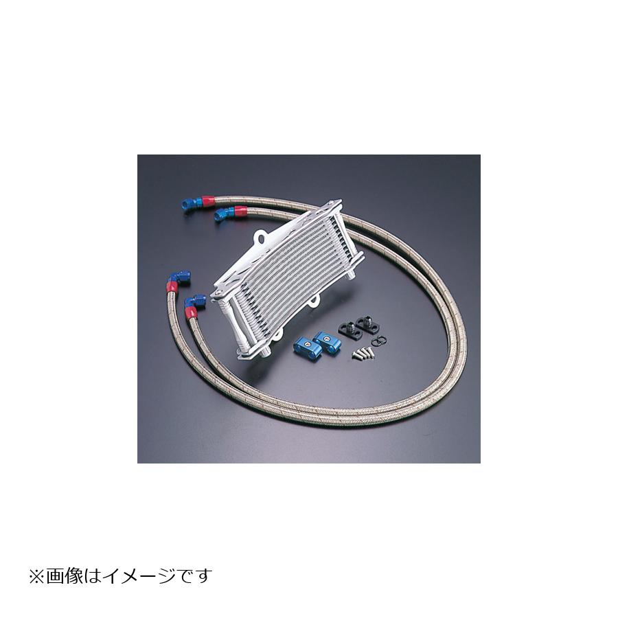 ACTIVE (�����ƥ���) OIL�����顼KIT (�����ɲ���) �饦��� #6 9-13R ZEPHYR400/X AC14037813