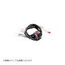 ACTIVE(アクティブ) スイッチASSY CB75 900F 1100F 1381302