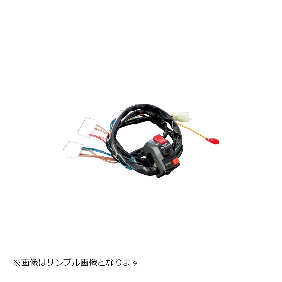 ACTIVE(アクティブ) スイッチASSY Z750FX-1型 1387333
