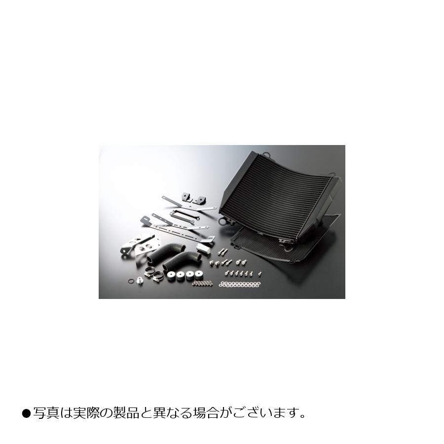 ACTIVE(アクティブ) ビッグラジエーターキット TYPE3 ブラック GPZ750R GPZ900R 5057023B