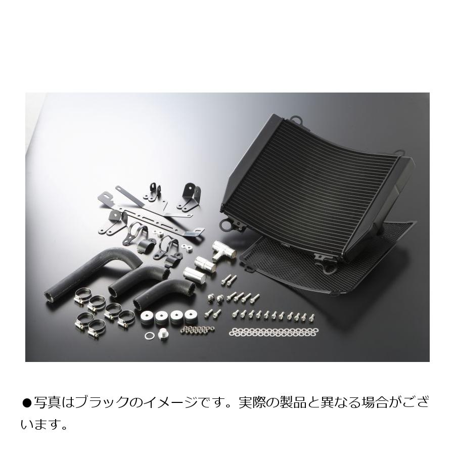 ACTIVE(アクティブ) ビッグラジエーターキット ZRX1100 1200 5057030