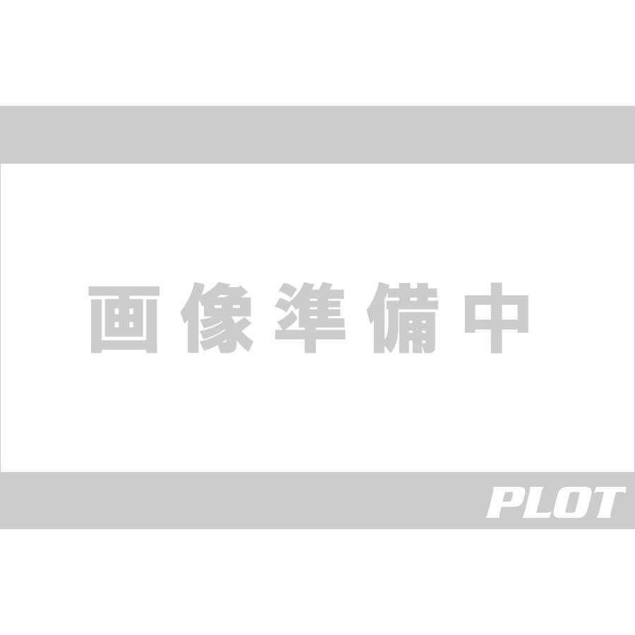 アールズギア GTスペック フルエキゾースト チタンDB G310GS/R GB24-T1SD