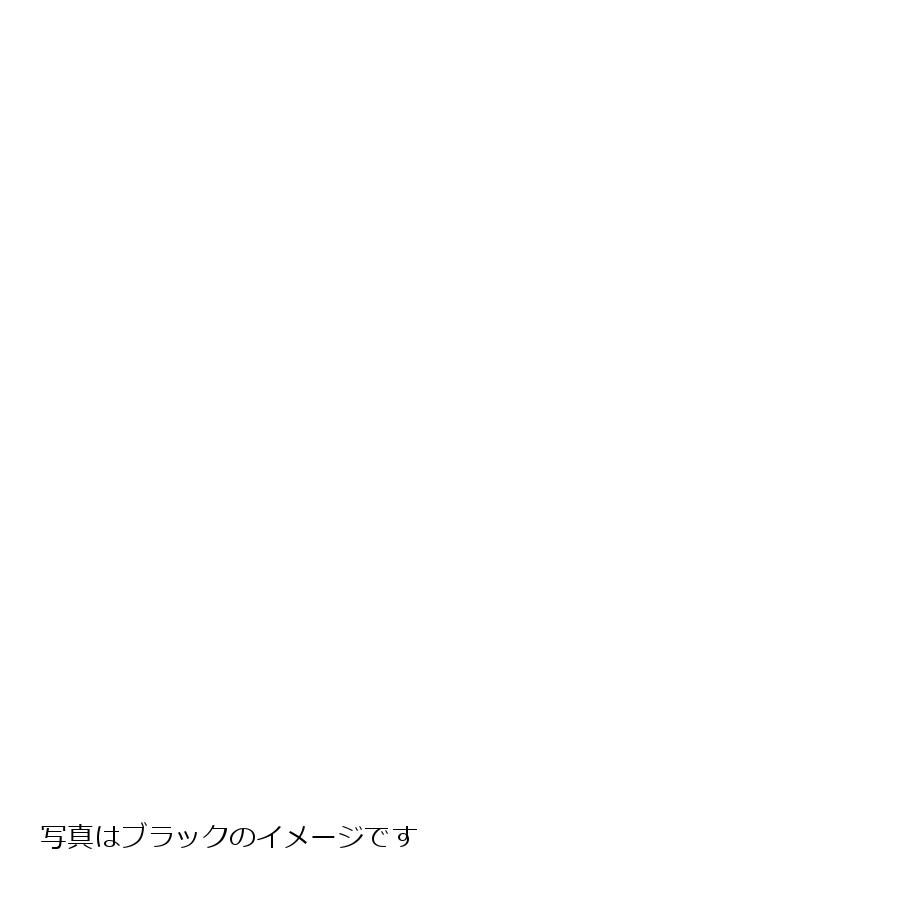 GALE SPEED (ゲイルスピード) リア ホイール 鍛造ホイール R600-17 ソリッドホワイト TYPE-E Z900 Z900RS CAFE